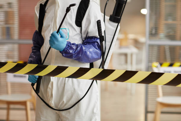 Professional Sewage Cleanup technician working in Platteville, CO
